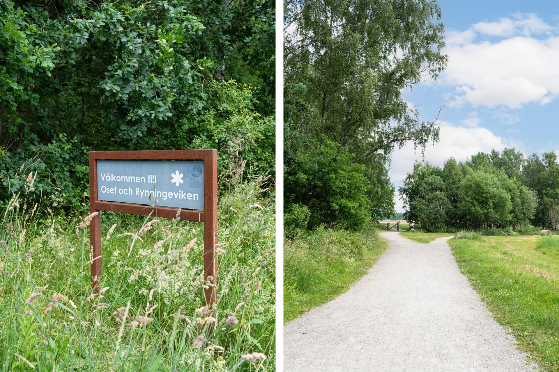 Hindergårdsgatan-14J