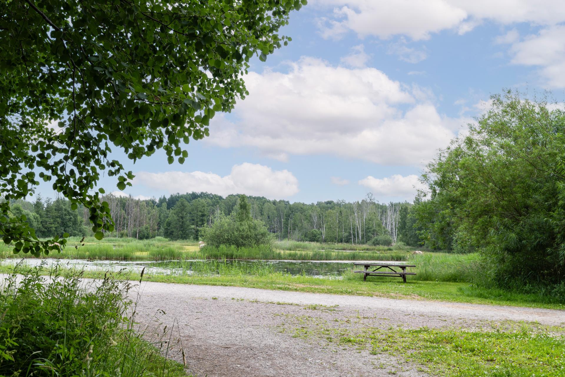 Hindergårdsgatan-14J