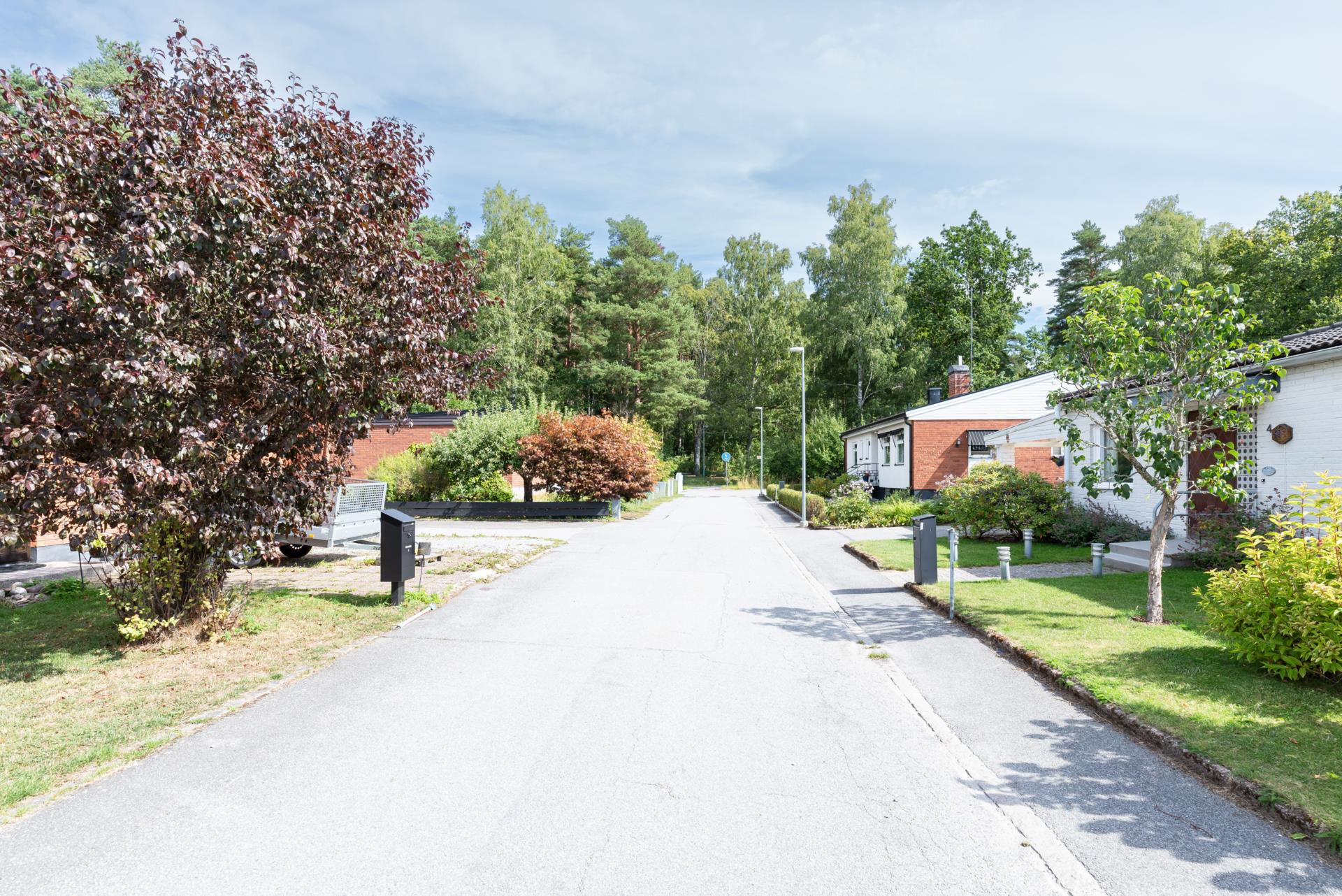 Korsnäbbstigen-4