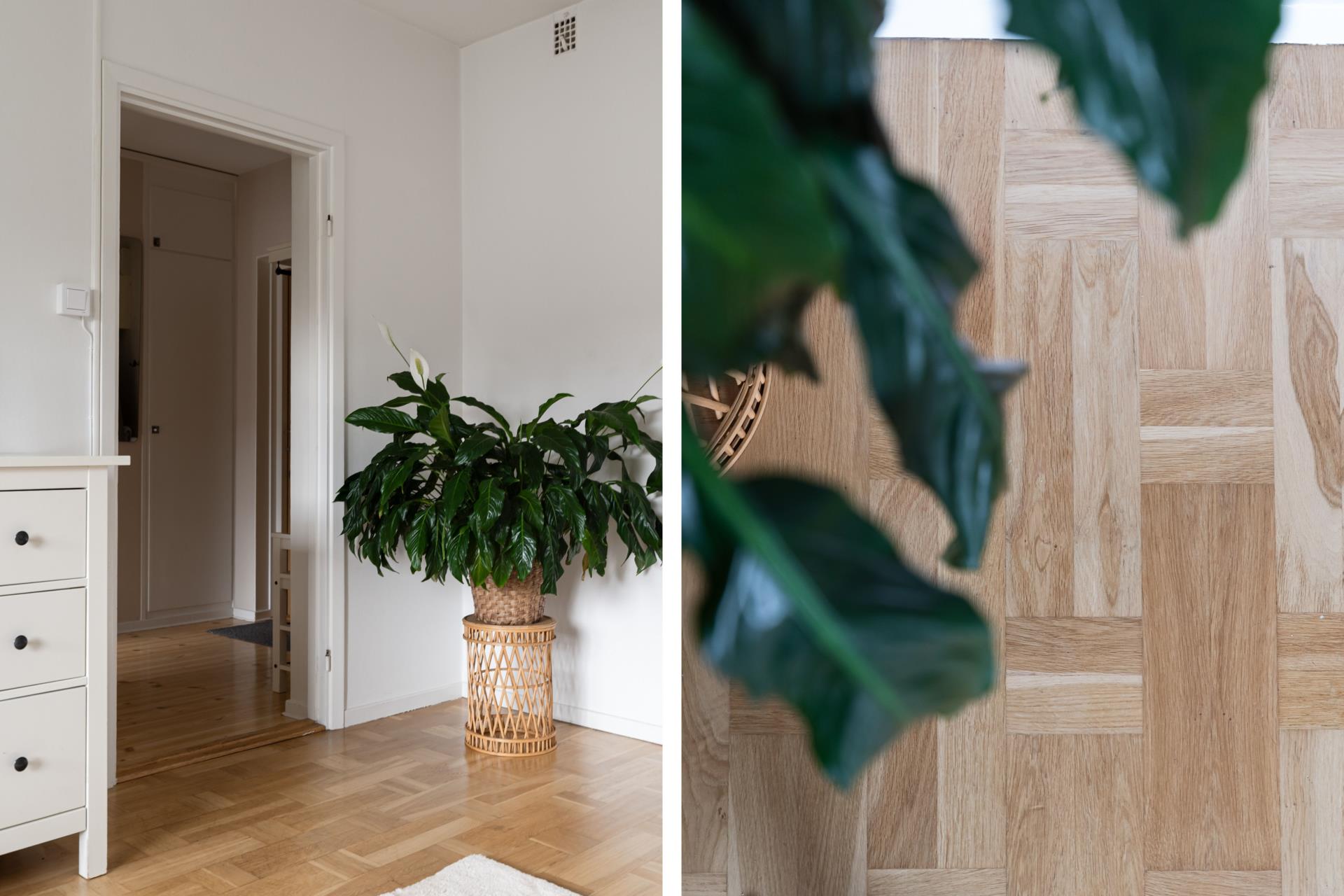 Trumpetaregatan-11A