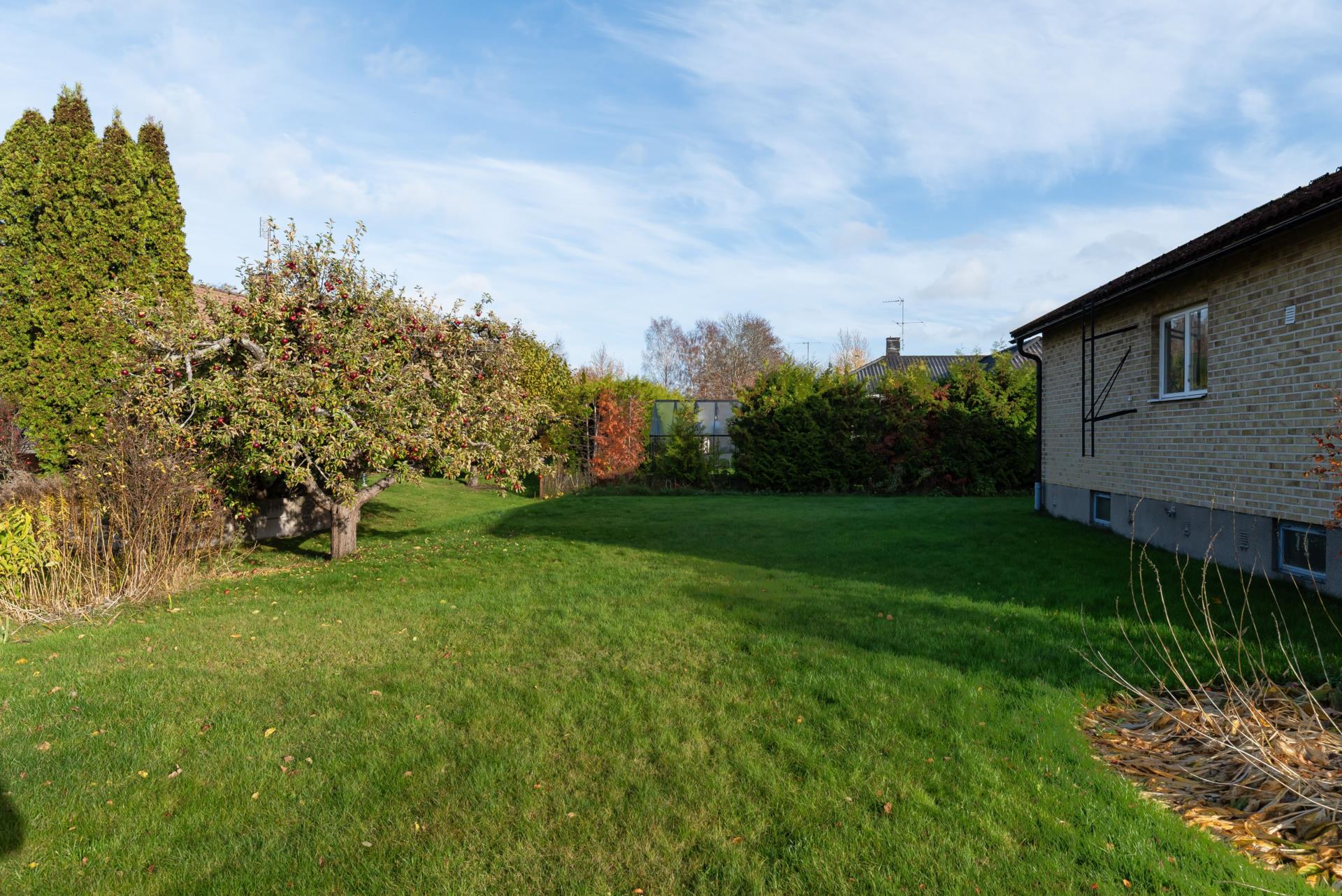 Kungsstigen-1